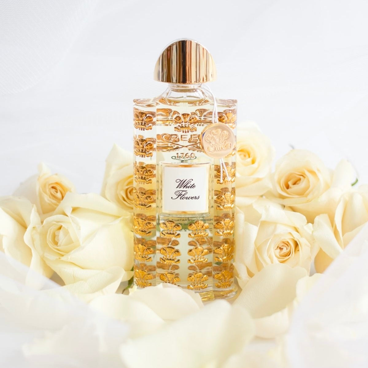 The Creed Collection