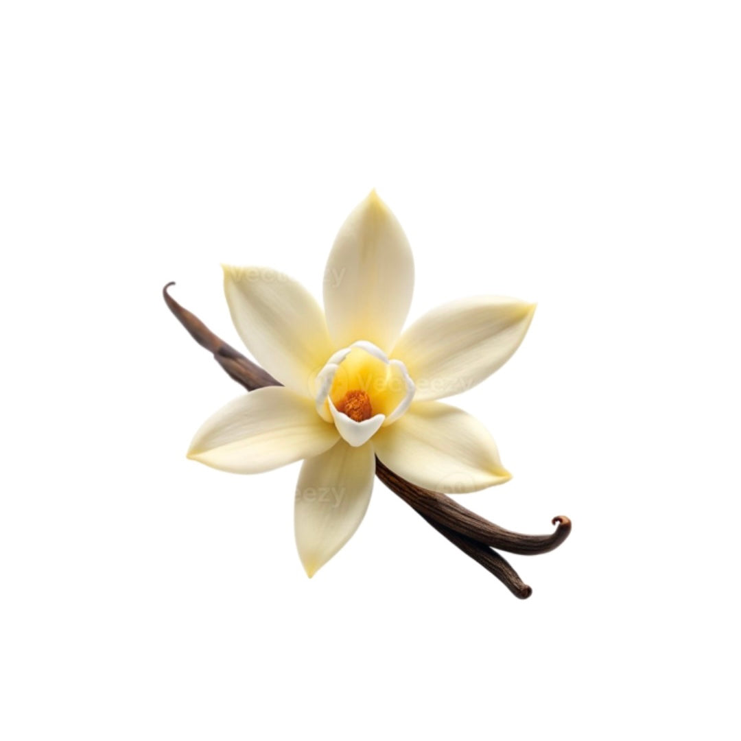 Vanilla